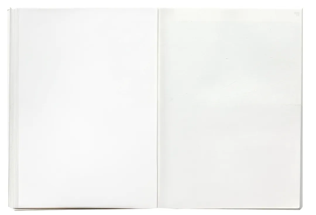 Issue 1